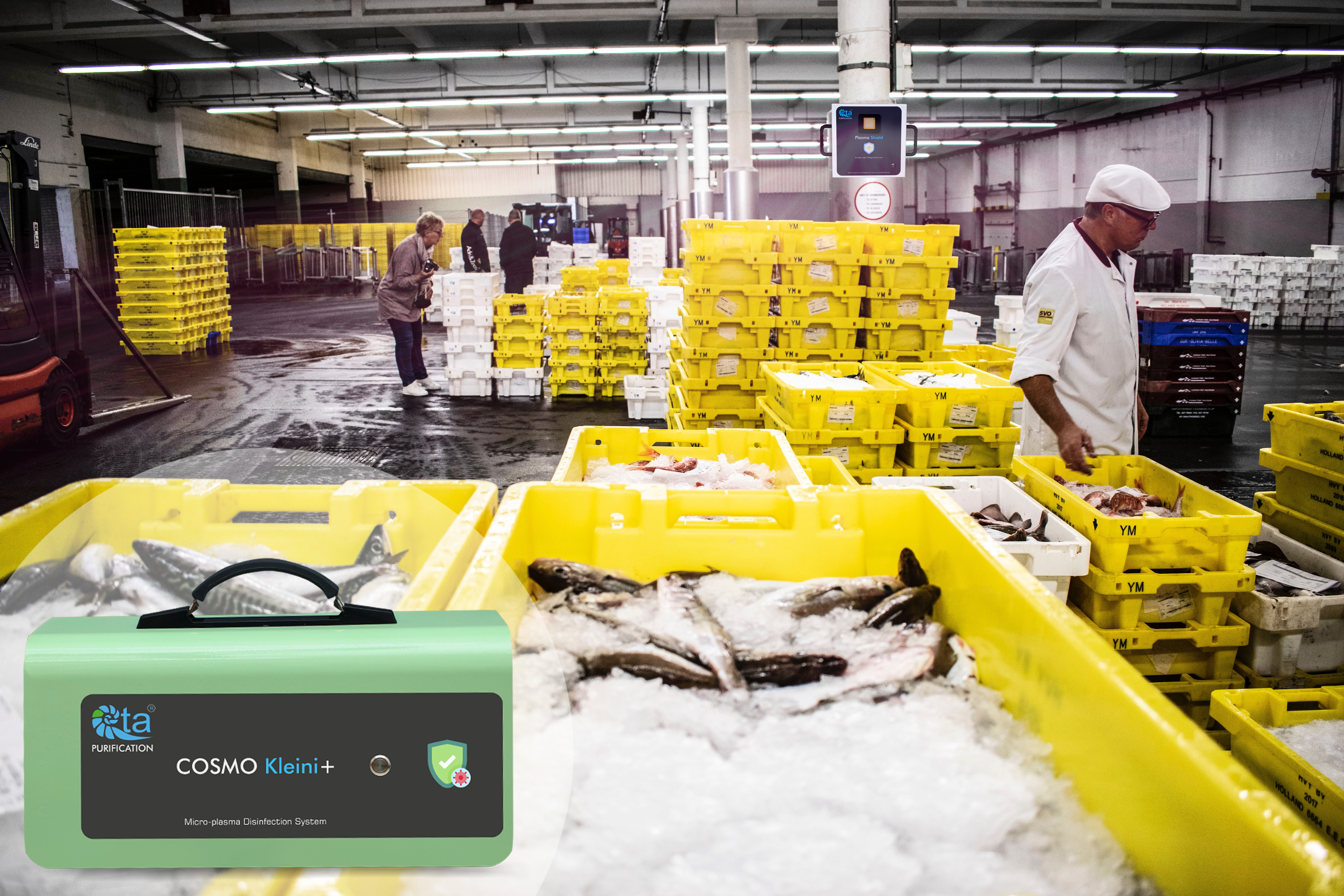 Food Safety Image